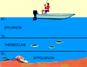 Термоклин и клев рыбы